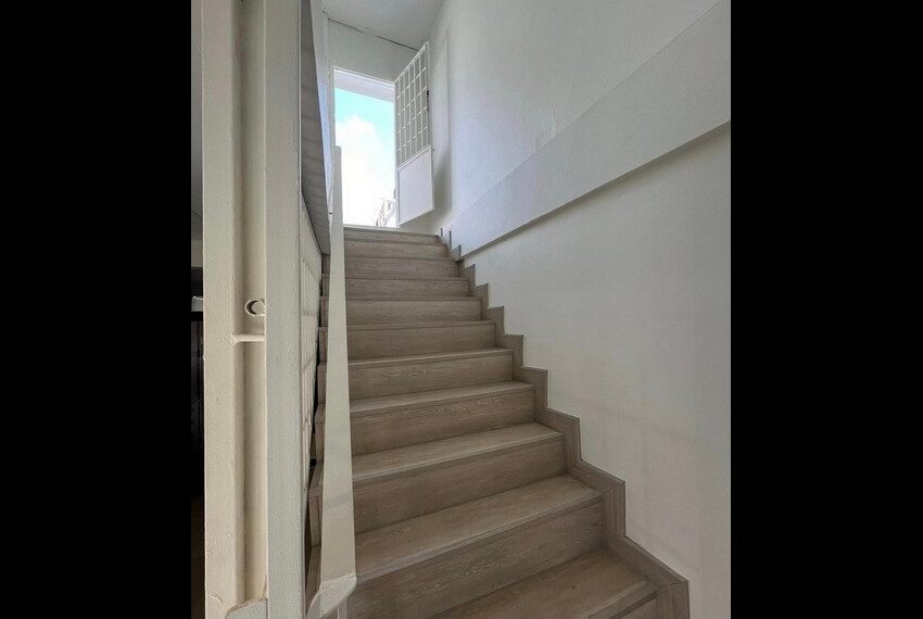 8987 Image-22