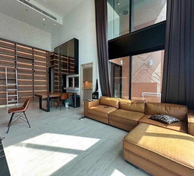 17596 Image-01