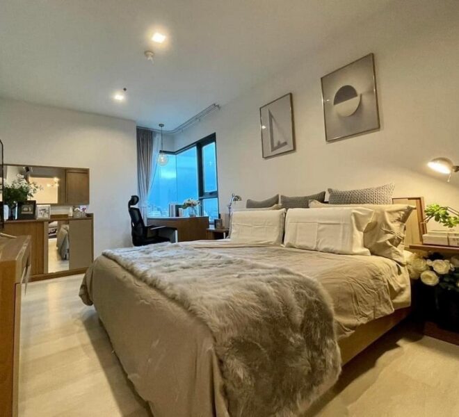 18506 Image-06