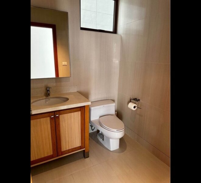 18572 Image-06