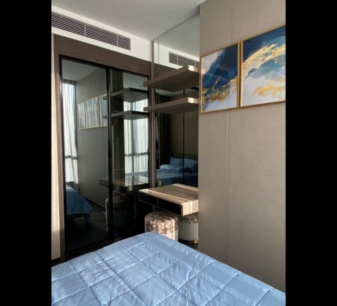 18575 Image-06