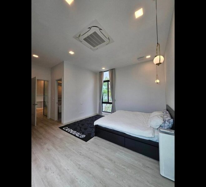 28153 Image-14
