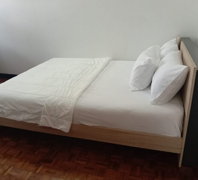 21119 Image-09