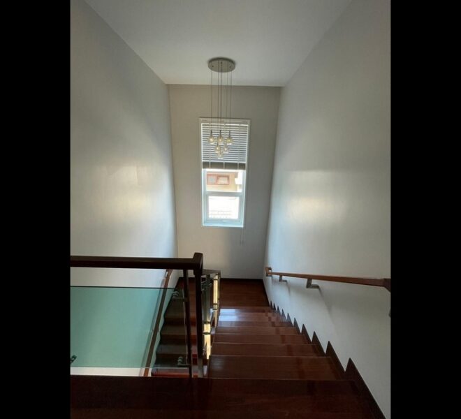 28164 Image-16
