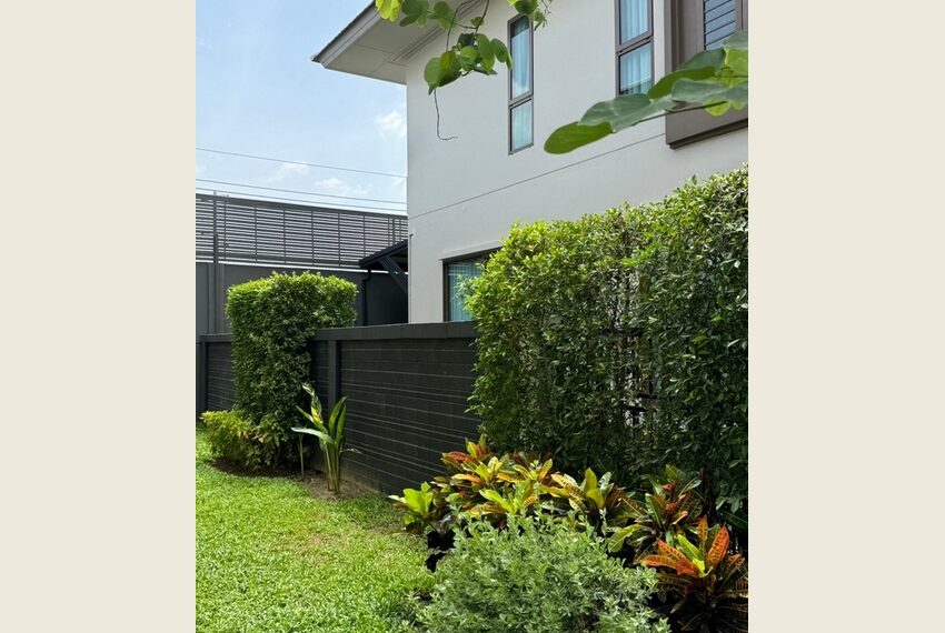 28175 Image-26