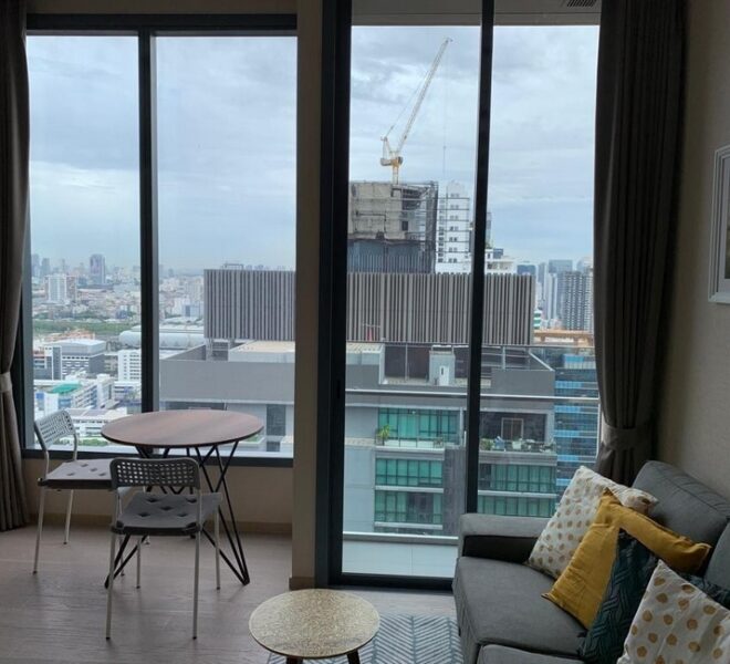 14231 Image-01