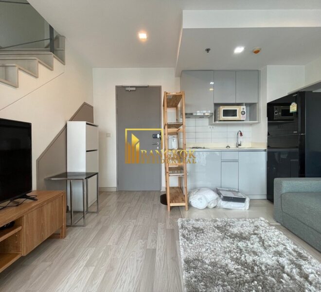 18504 Image-02