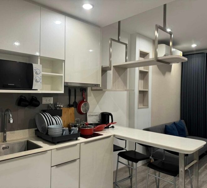 19013 Image-05