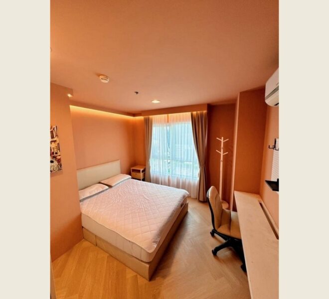 19021 Image-04