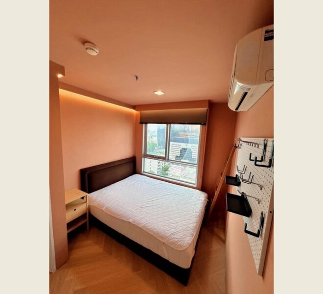 19021 Image-05
