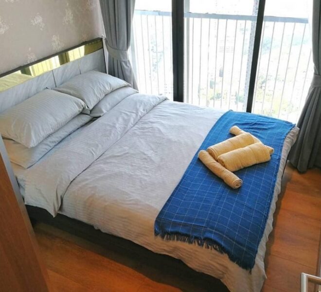 11538 Image-04