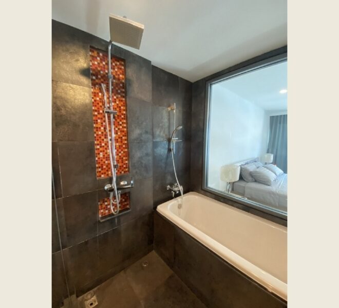 10657 Image-14
