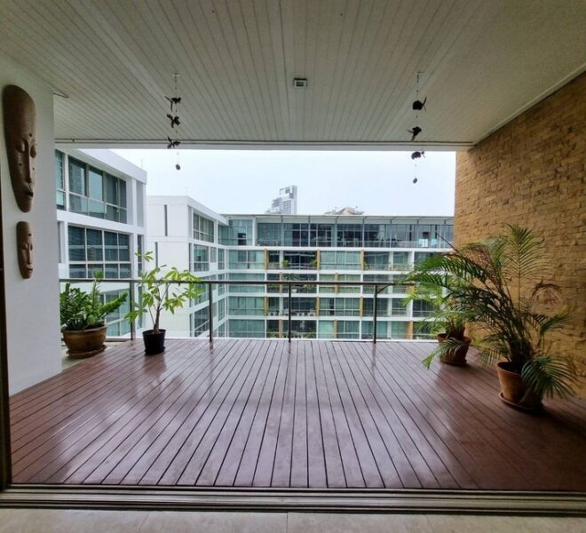 15946 Image-03