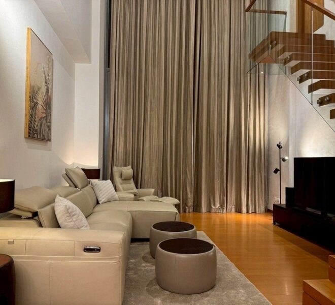 10101 Image-01