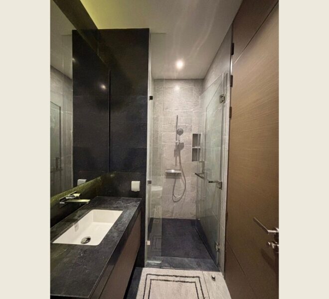 12337 Image-12