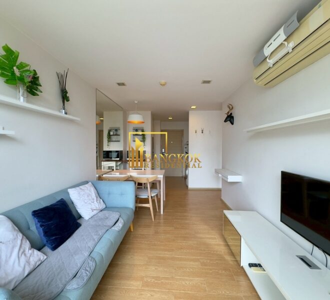 17619 Image-05