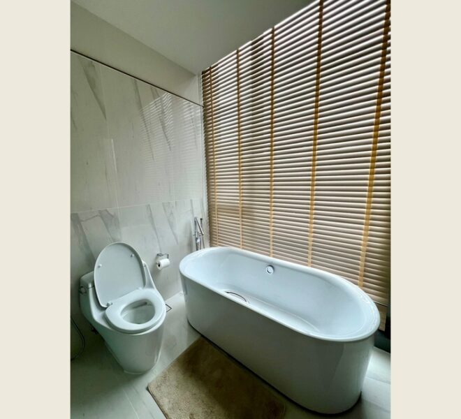 15884 Image-11