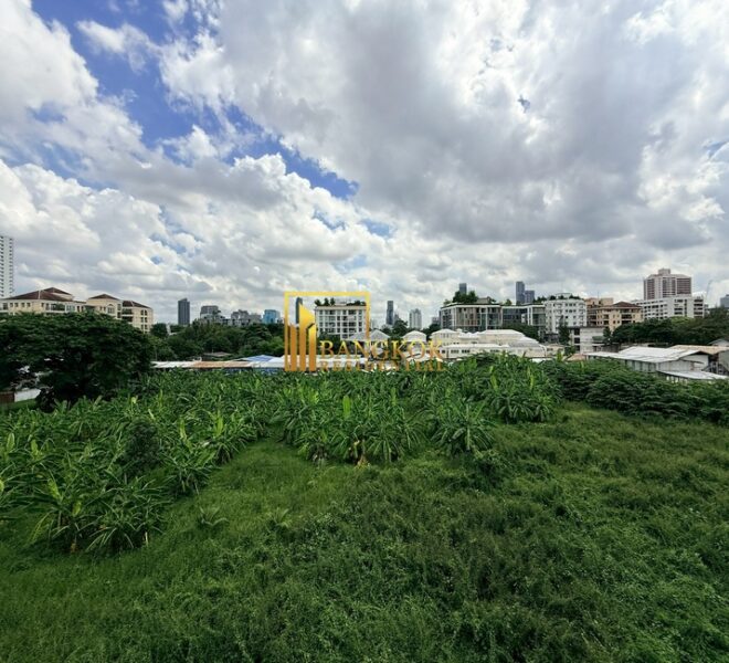 21331 Image-07
