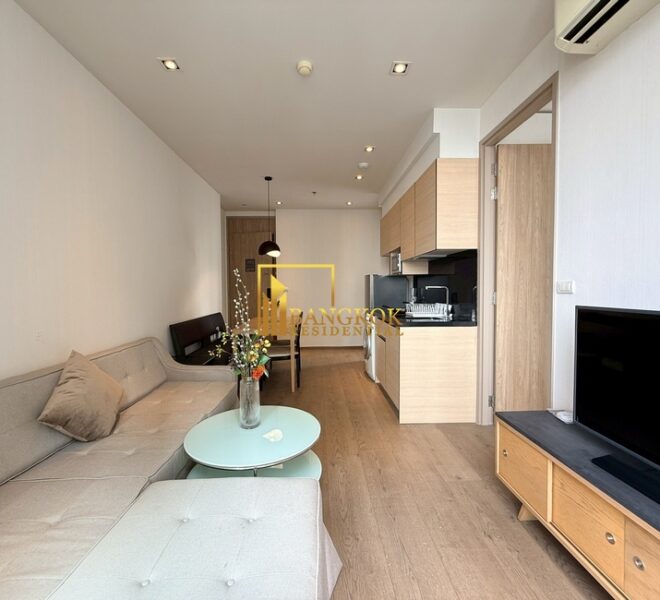 30407 Image-05