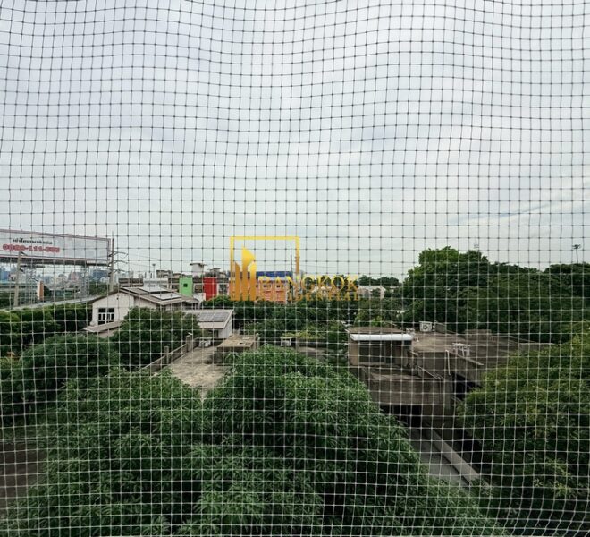 60595 Image-24