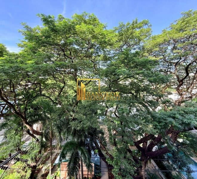 60697 Image-04