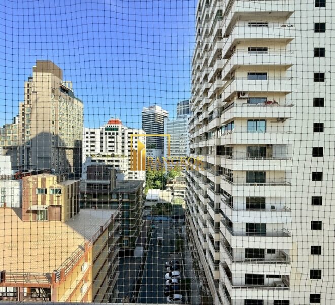 60868 Image-04