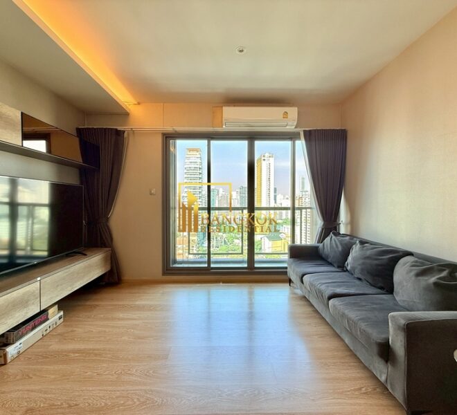 16525 Image-01