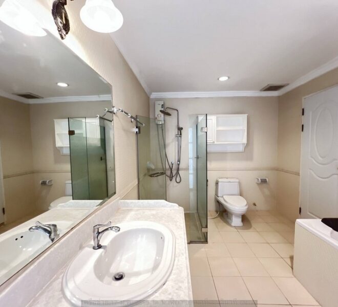 49076 Image-19