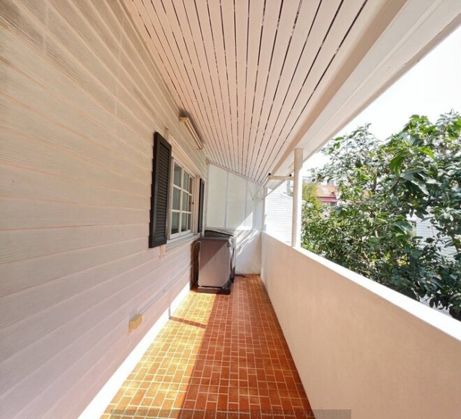 49076 Image-20