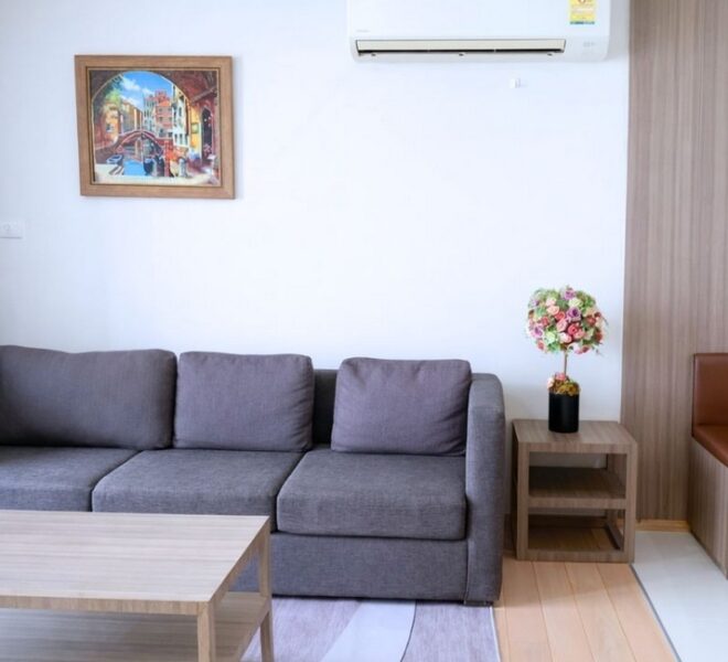 61013 Image-02