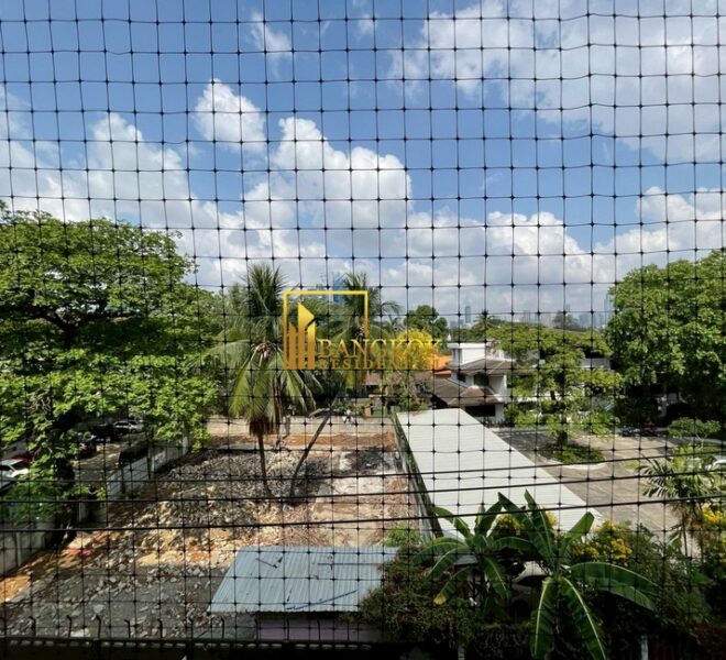 16576 Image-04