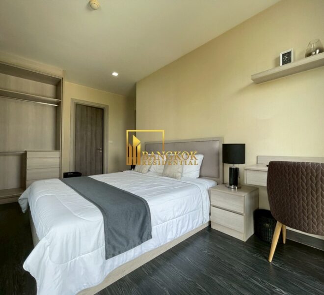 16576 Image-20
