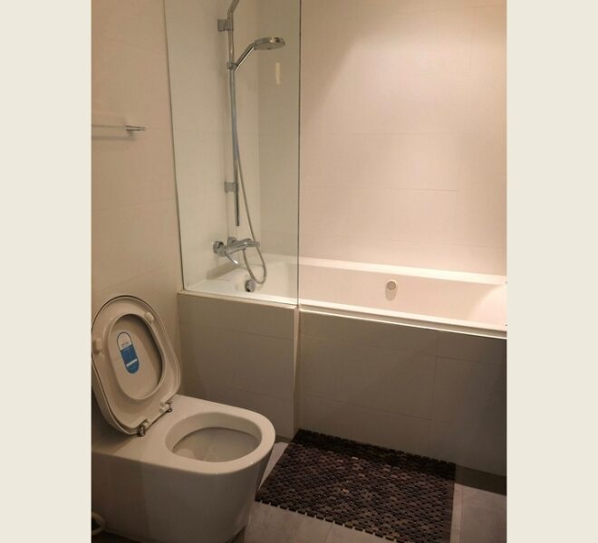 61152 Image-06