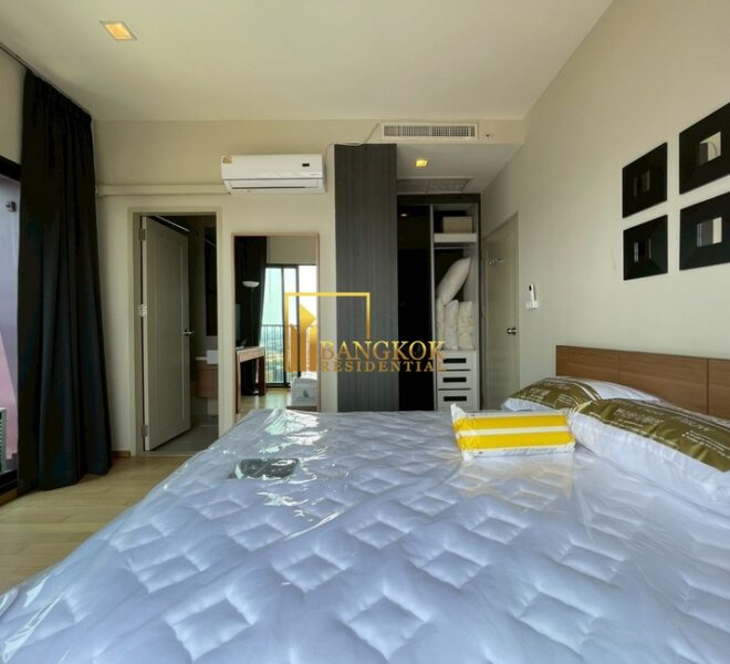 61251 Image-18