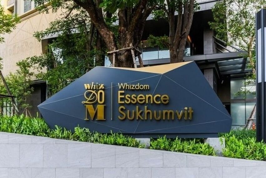 Whizdom Essence Image-08