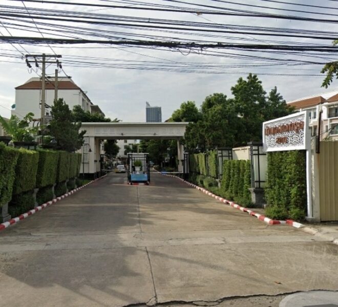 49087 Image-14