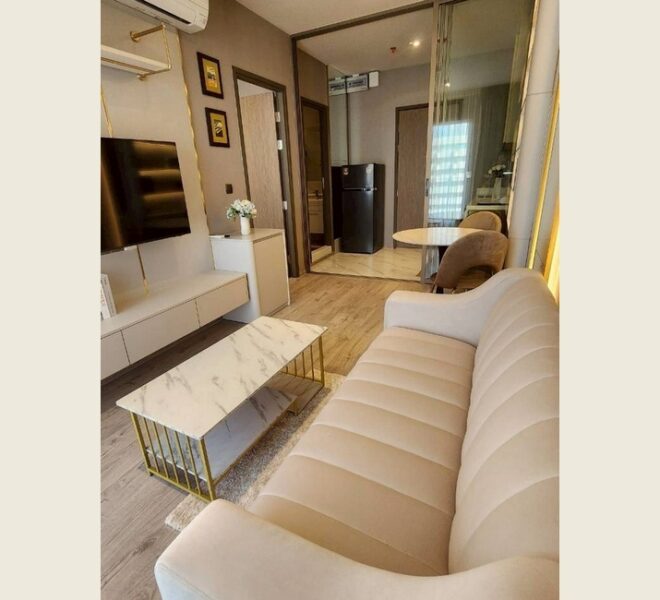 61301 Image-03