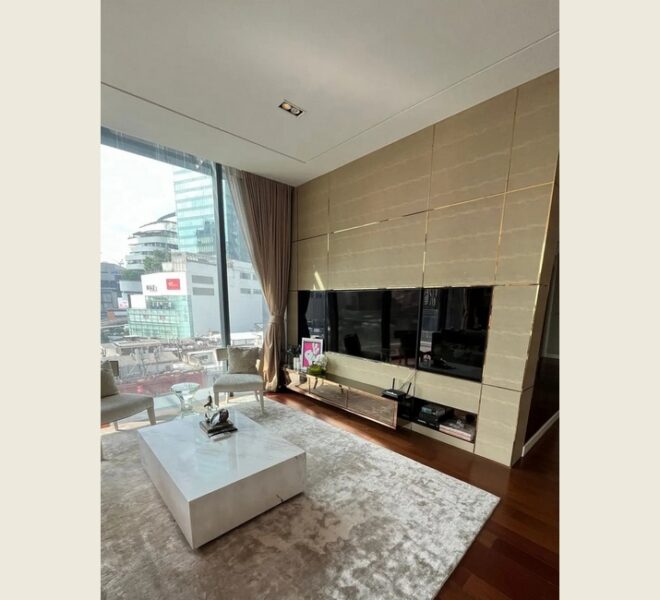 11872 Image-02