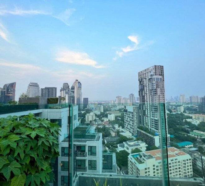 61451 Image-03