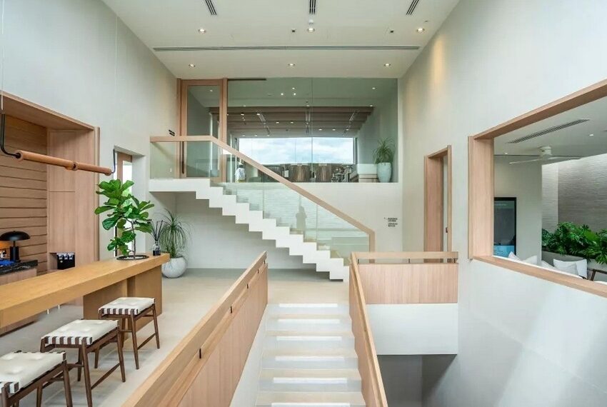 Noble Terra Image-04