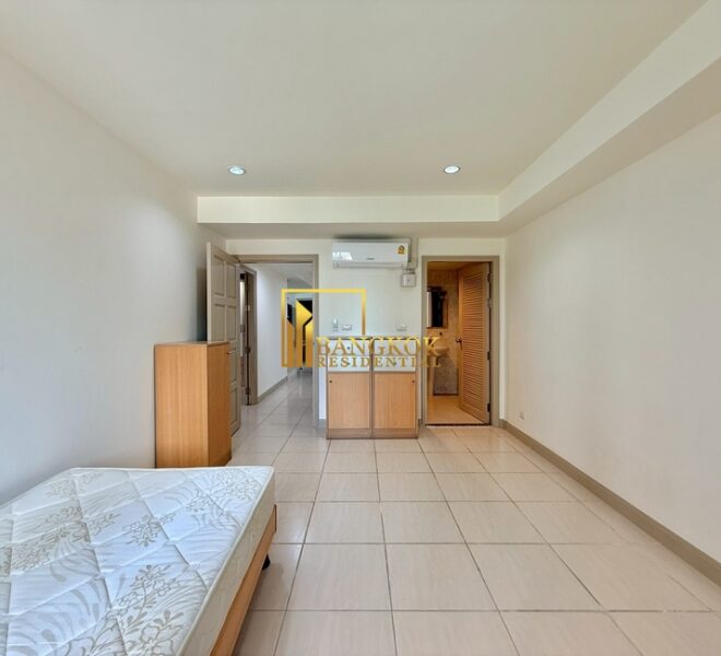 17311 Image-20