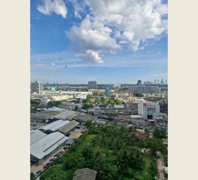 61813 Image-14