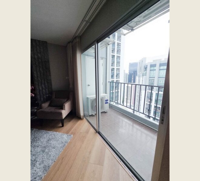 61875 Image-02