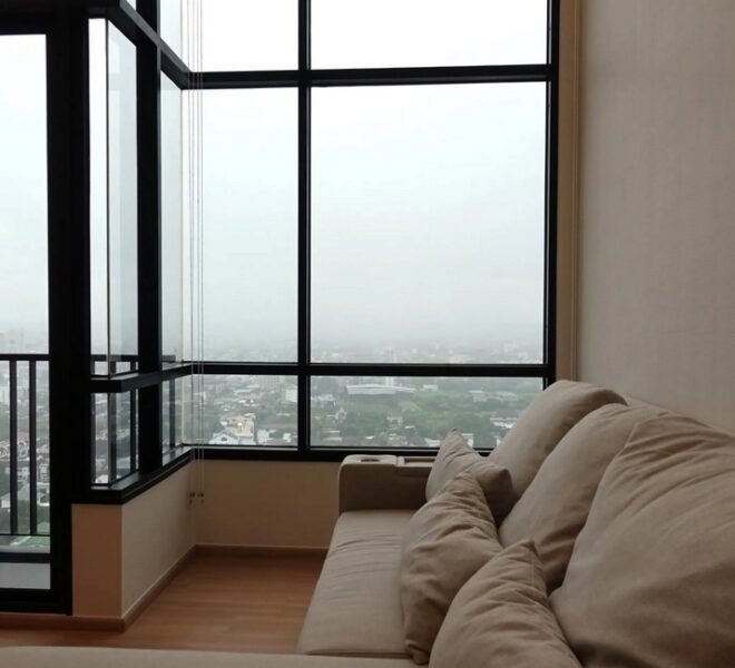 61885 Image-02