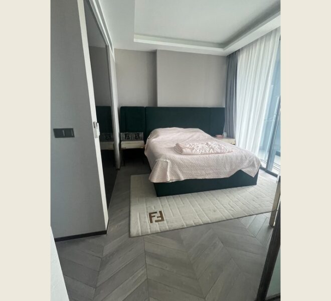 61933 Image-06