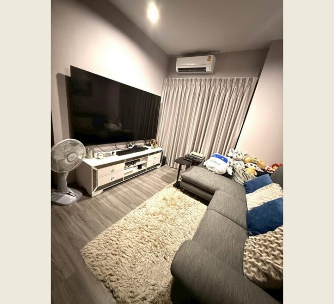 61939 Image-01