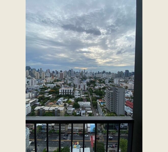 61952 Image-03