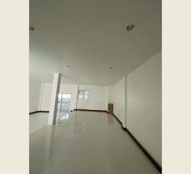 49105 Image-02