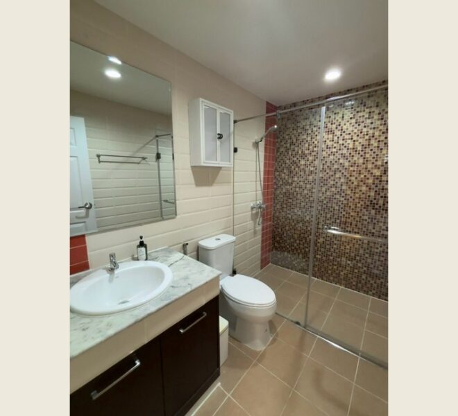 61938 Image-12