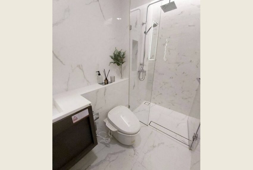 61984 Image-08